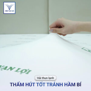 Nệm Karo Foam
