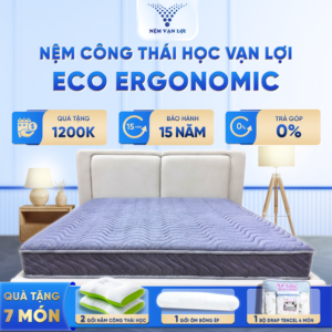 eco ergonomic