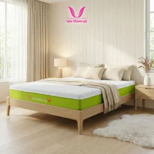 Nệm Cao Su Thiên Nhiên Điều Hòa Hybrid Matcha Cool